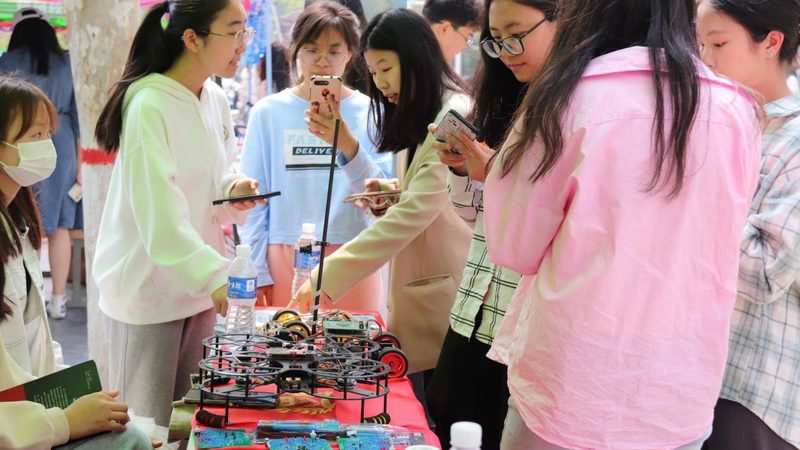 大数据服务：解析其优势与挑战